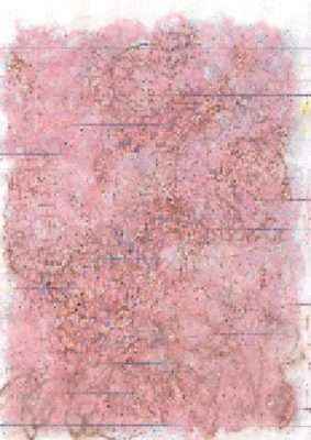 alexandra reill: cr_sequins. cr8_sequin, 2004