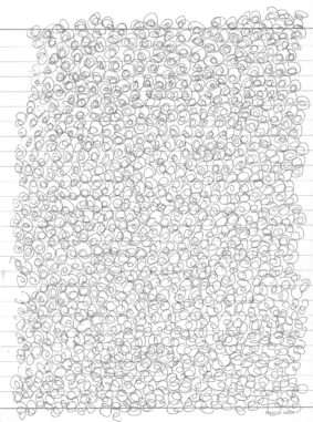 alexandra reill: cr_sequins. crscan_1, 2004