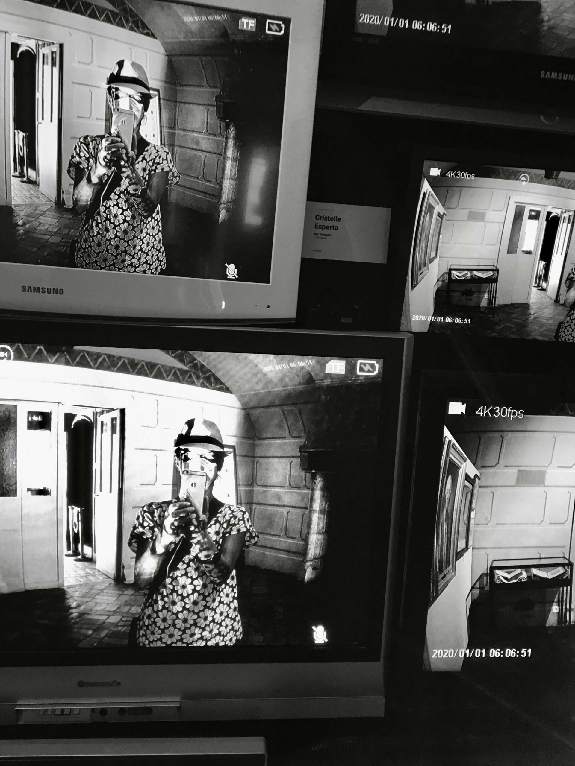 alexandra reill: sp19-22-monitoring. video loop, 2021 / 2022. sp_sample_10